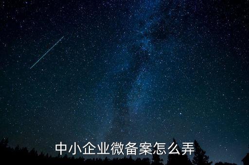 小型微型企業(yè)如何備案，小型微型企業(yè)登記備案