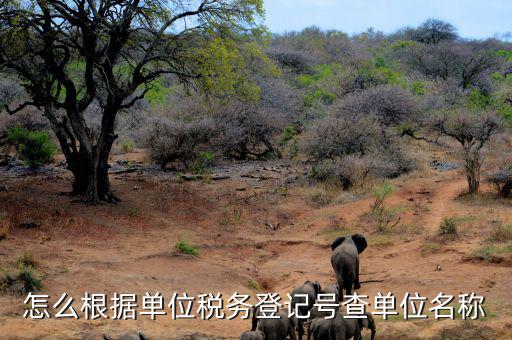 怎么根據(jù)單位稅務登記號查單位名稱