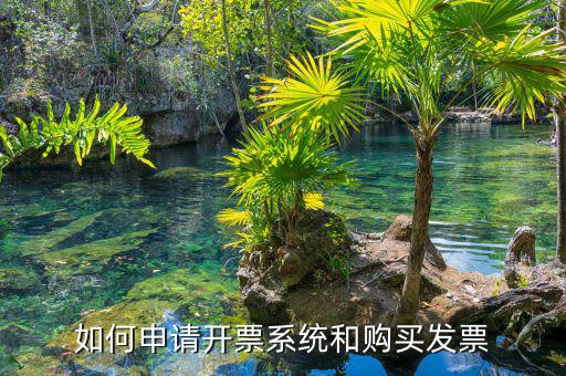如何申請開票系統(tǒng)，個體工商戶怎么申請辦理開票系統(tǒng)望詳解分數(shù)可追加