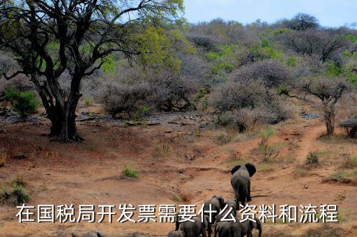 國(guó)稅局批票如何辦理，在國(guó)稅局開(kāi)發(fā)票需要什么資料和流程