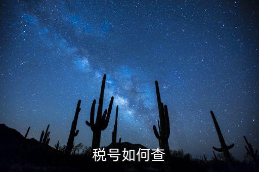 發(fā)票稅號(hào)如何查詢系統(tǒng)，開發(fā)票不知道客戶的稅號(hào)應(yīng)該怎么查