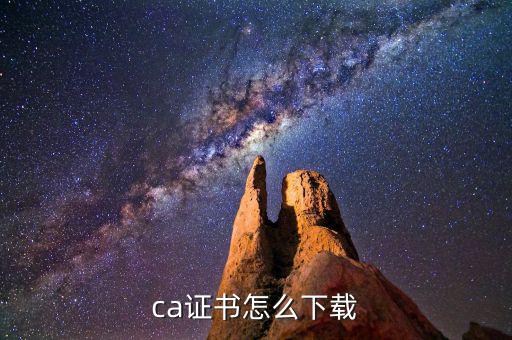如何下載國(guó)稅ca證書，ca證書怎么下載