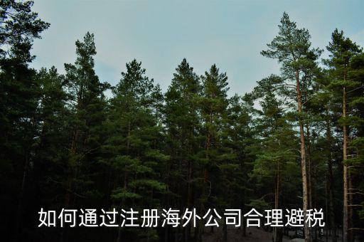 在境外注冊(cè)子公司如何避所得稅，離岸公司如何避個(gè)稅