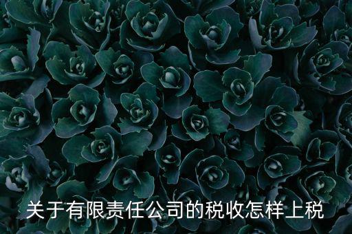 有限責(zé)任公司如何繳稅，有限責(zé)任公司是如何納稅的要繳納的稅種都有哪些