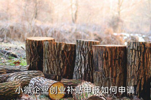 小型微利企業(yè)如何申請(qǐng)社保補(bǔ)貼，小微企業(yè)補(bǔ)貼怎么申請(qǐng)