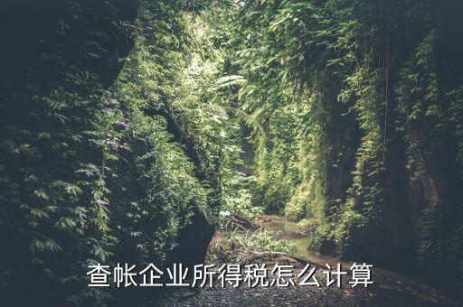 企業(yè)所得稅如何查賬，企業(yè)所得稅計算 查賬法
