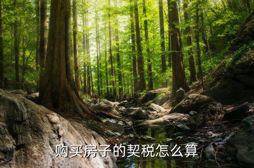 如何省契稅，契稅怎么算