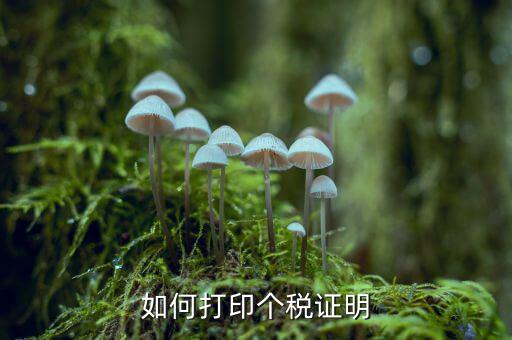 如何打印納稅證明嗎，去稅務局怎么打印增值稅完稅證明步驟操作