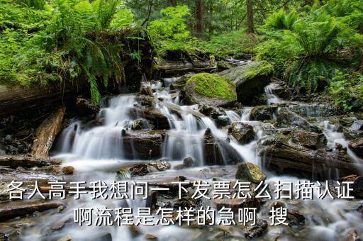 如何使用掃描儀認證發(fā)票嗎，各人高手我想問一下發(fā)票怎么掃描認證啊流程是怎樣的急啊  搜
