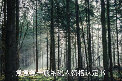 一般納稅人如何認(rèn)定書，急急急一般納稅人資格認(rèn)定書