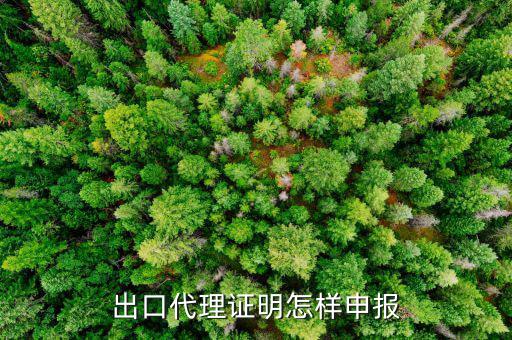 代理出口貨物證明如何報(bào)稅，出口代理證明怎樣申報(bào)