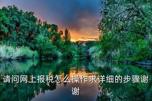 如何指引納稅人使用網(wǎng)上稅務(wù)局，請(qǐng)問網(wǎng)上報(bào)稅怎么操作求詳細(xì)的步驟謝謝