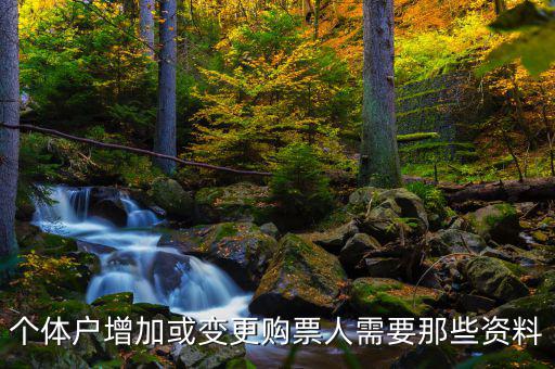 如何增加辦稅人員，請(qǐng)問怎樣才能增加一個(gè)辦稅人需要什么資料