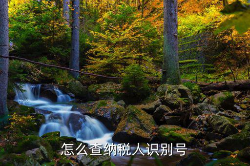 如何查詢個(gè)人納稅人識(shí)別號(hào)，納稅人識(shí)別號(hào)查詢