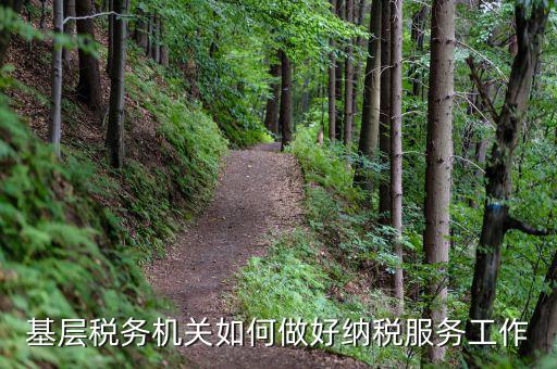基層稅務(wù)機(jī)關(guān)如何適應(yīng)稅收現(xiàn)代化，基層稅務(wù)機(jī)關(guān)如何做好納稅服務(wù)工作