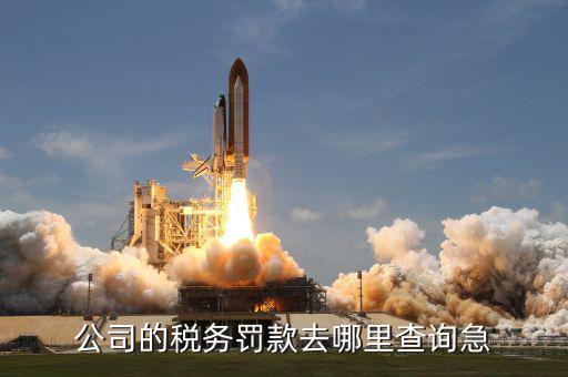 如何查稅收罰款，公司的稅務罰款去哪里查詢急