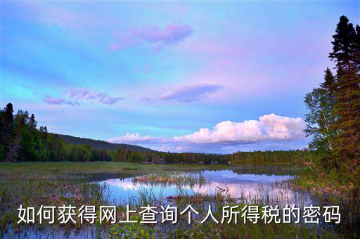 如何獲取個(gè)稅網(wǎng)報(bào)密碼，個(gè)人所得稅怎么查