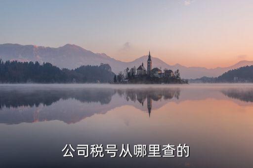 企業(yè)稅號(hào)如何查詢，公司稅號(hào)從哪里查的