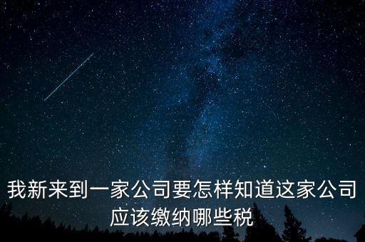 如何查稅種，我新來(lái)到一家公司要怎樣知道這家公司應(yīng)該繳納哪些稅