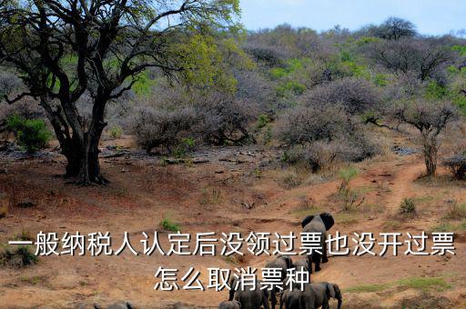 如何取消發(fā)票票種核定，一般納稅人認定后沒領過票也沒開過票怎么取消票種