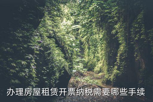 租房如何開(kāi)增值稅專票，房屋租賃可以開(kāi)增值稅專用發(fā)票嗎