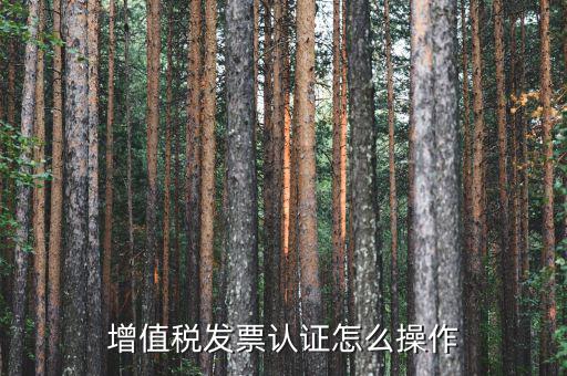 如何認(rèn)證增值稅進(jìn)項(xiàng)稅，進(jìn)項(xiàng)稅怎么認(rèn)證