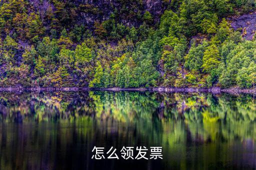 如何在網(wǎng)上領(lǐng)發(fā)票，怎樣領(lǐng)購發(fā)票