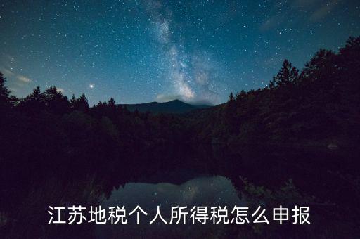 如何申報年稅江蘇，江蘇地稅個人所得稅怎么申報