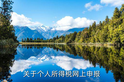 網(wǎng)上如何啟用個稅，如何打開個人所得稅申報表的明細(xì)