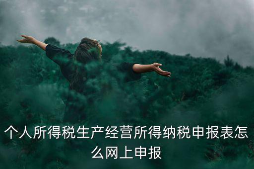 生產(chǎn)經(jīng)營所得如何網(wǎng)上申報，個體工商戶網(wǎng)上申報怎么做