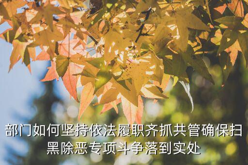 部門如何堅持依法履職齊抓共管確保掃黑除惡專項斗爭落到實(shí)處