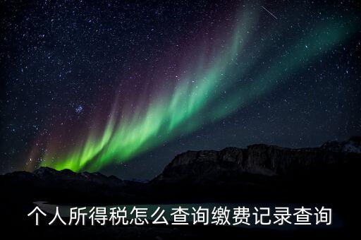 金稅三期個人所得稅如何查詢，個人所得稅怎么查詢繳費記錄查詢