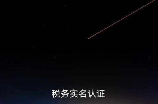 湖北省公司辦稅人員如何實(shí)名，稅務(wù)實(shí)名制信息采集