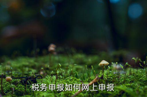 如何網(wǎng)上電子稅務(wù)申報系統(tǒng)，稅務(wù)申報如何網(wǎng)上申報