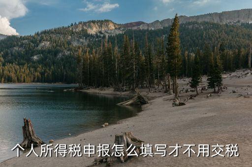福建自然人個稅如何申報才不用繳稅，個稅專項附加扣除怎樣填寫才不繳稅