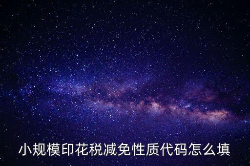 印花稅減免額 如何填寫，六稅兩費印花稅減半怎么申報