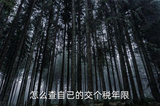如何查詢納稅期限，怎么查自已的交個稅年限