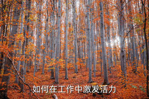 如何激發(fā)稅務(wù)干部的活力，在稅收工作中如何激發(fā)下屬的潛力