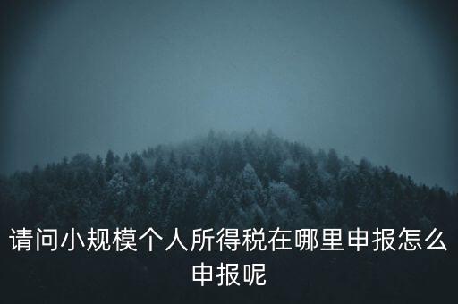 如何申報(bào)自然人兩處所得，請問小規(guī)模個(gè)人所得稅在哪里申報(bào)怎么申報(bào)呢