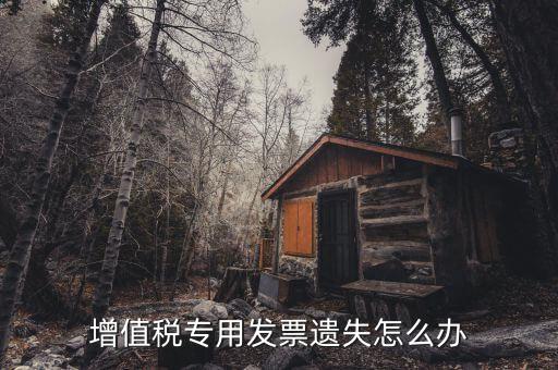丟失專(zhuān)用發(fā)票如何，丟失空白增值稅專(zhuān)用發(fā)票如何處理