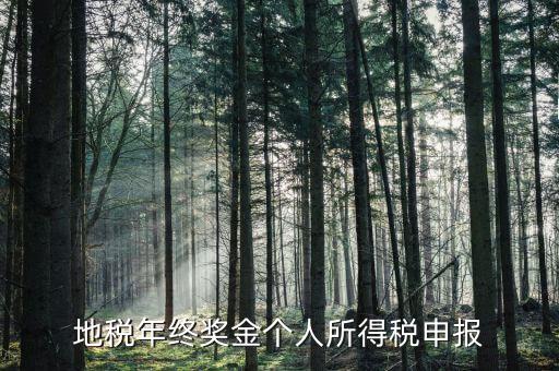 地方稅務局網(wǎng)上如何申報年終獎，網(wǎng)上報稅中年終獎怎么報怎么操作啊