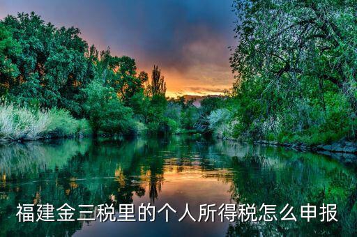 福建金三稅里的個人所得稅怎么申報(bào)