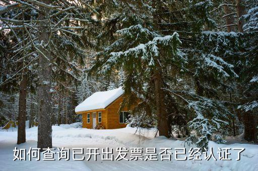 如何查詢發(fā)票是否認證過，怎么查開出去的發(fā)票有沒有被認證