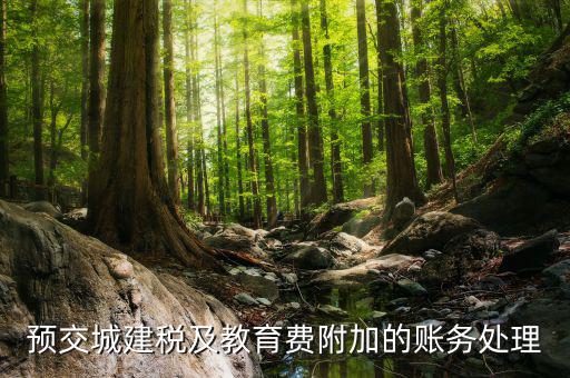 預(yù)繳城建稅如何處理，預(yù)交城建稅及教育費附加的賬務(wù)處理