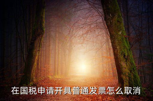 網(wǎng)上申領(lǐng)發(fā)票如何撤銷，已經(jīng)申報了的發(fā)票怎么作廢