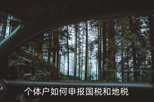 個(gè)體稅務(wù)登記地稅如何辦理，個(gè)體戶如何申報(bào)國(guó)稅和地稅