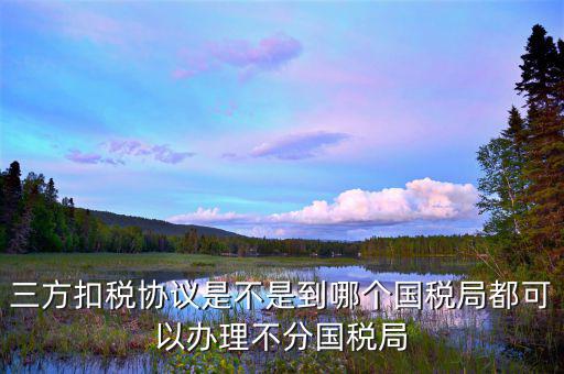 廈門(mén)國(guó)稅如何制作三方扣款協(xié)議，我是剛注冊(cè)的公司到國(guó)稅局辦理三方協(xié)議怎么辦理