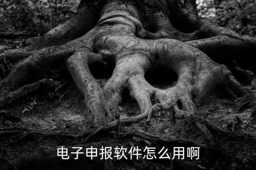 濟(jì)南電子稅務(wù)如何使用，網(wǎng)上辦稅平臺手機(jī)app怎么操作