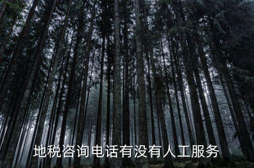 北京12366如何轉(zhuǎn)人工，我有關(guān)于北京稅務的問題因為很復雜你們有沒有電話可以直接溝通