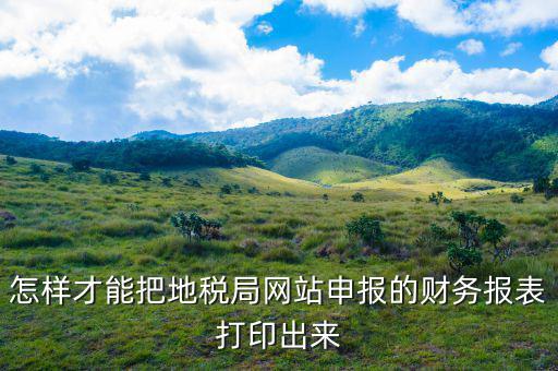 怎樣才能把地稅局網站申報的財務報表打印出來